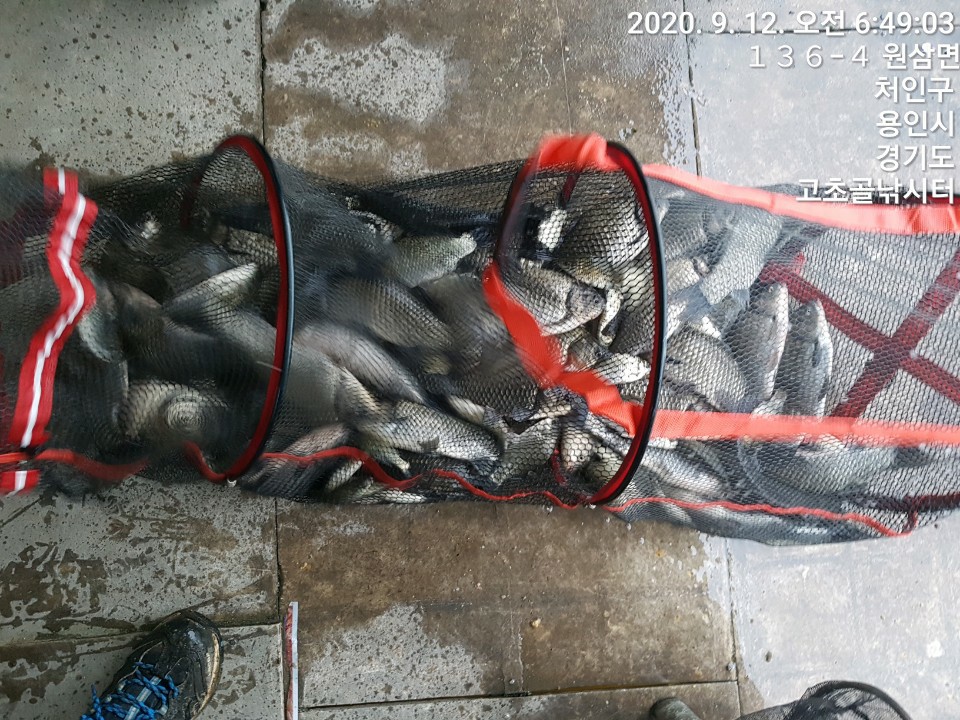 1599867639721-14.jpg