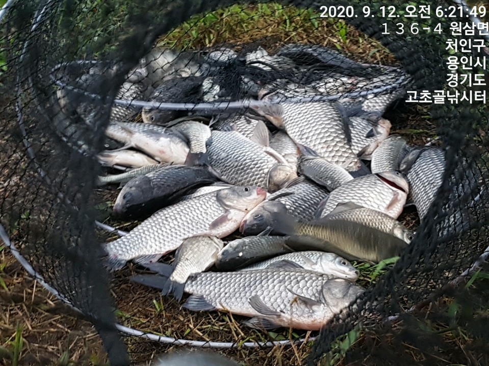 1599867639721-10.jpg
