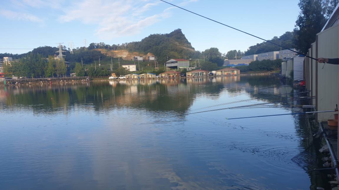 20200913_071207.jpg