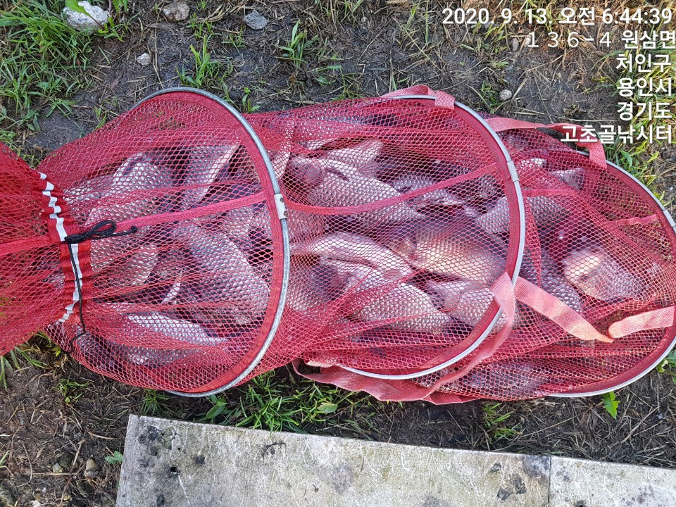 1599959028210-8.jpg