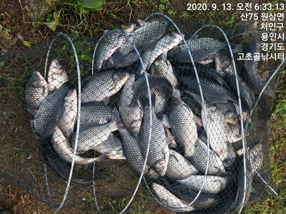 1599959028210-0.jpg