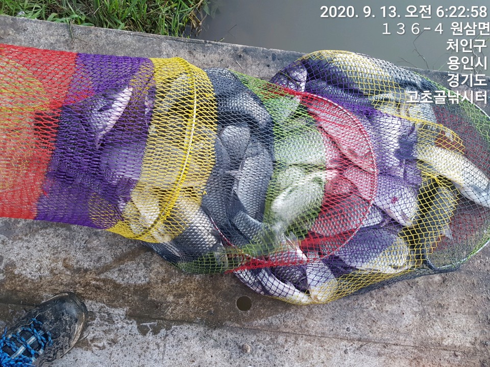 1599959035254-23.jpg
