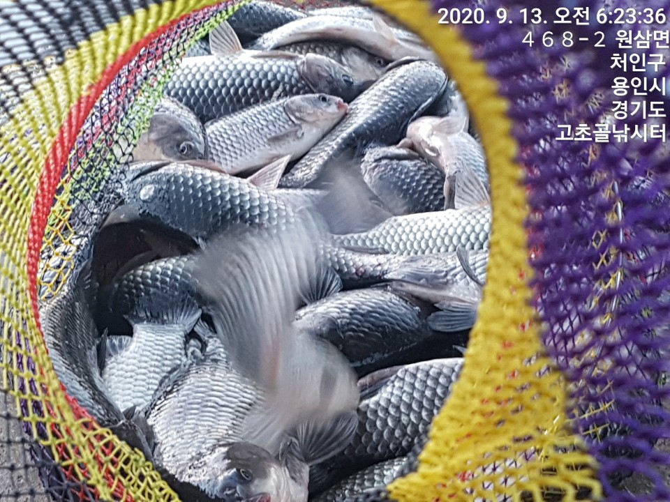 1599959035254-24.jpg