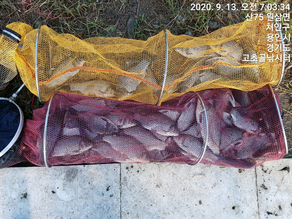1599959028210-18.jpg