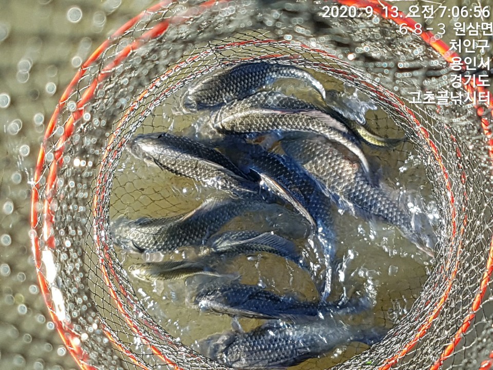 1599959028210-19.jpg