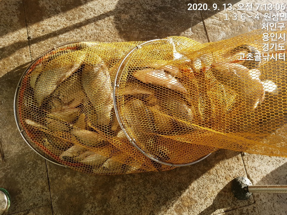 1599959028210-24.jpg