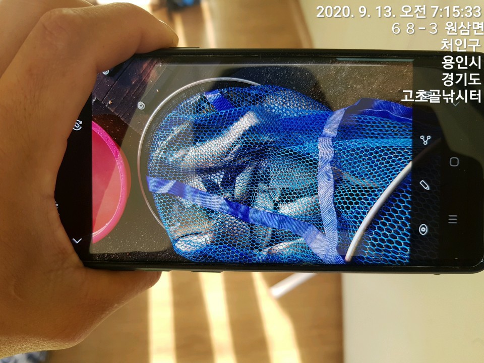 1599959028210-26.jpg