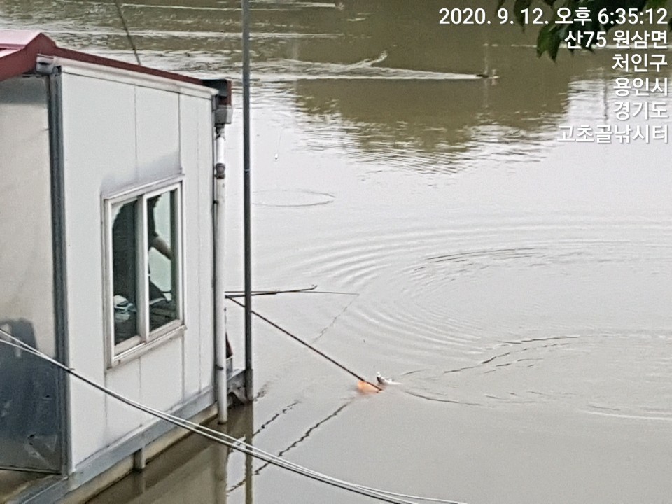 1599959035254-21.jpg