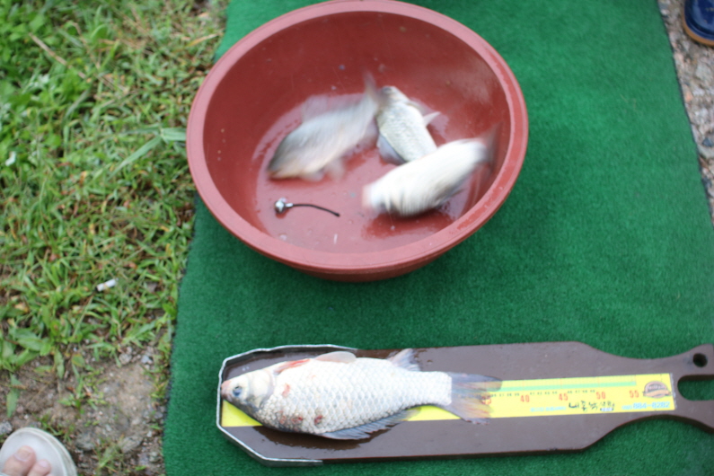 [크기변환]IMG_0751.JPG