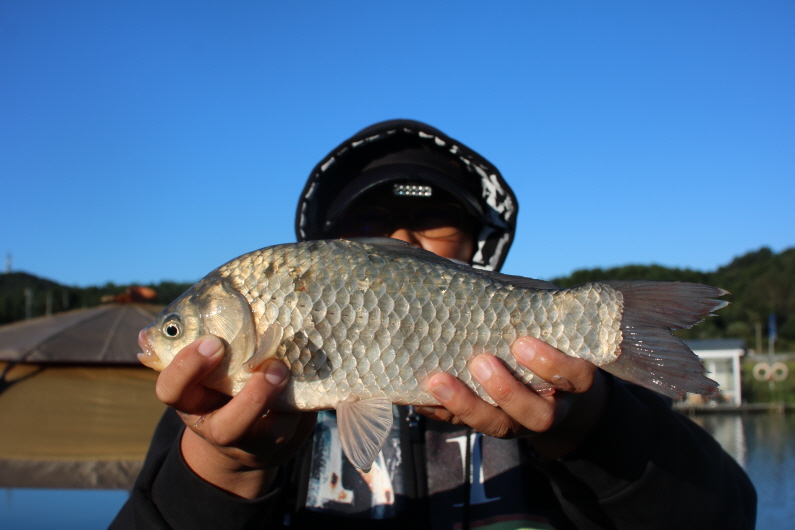[크기변환]IMG_0895.JPG