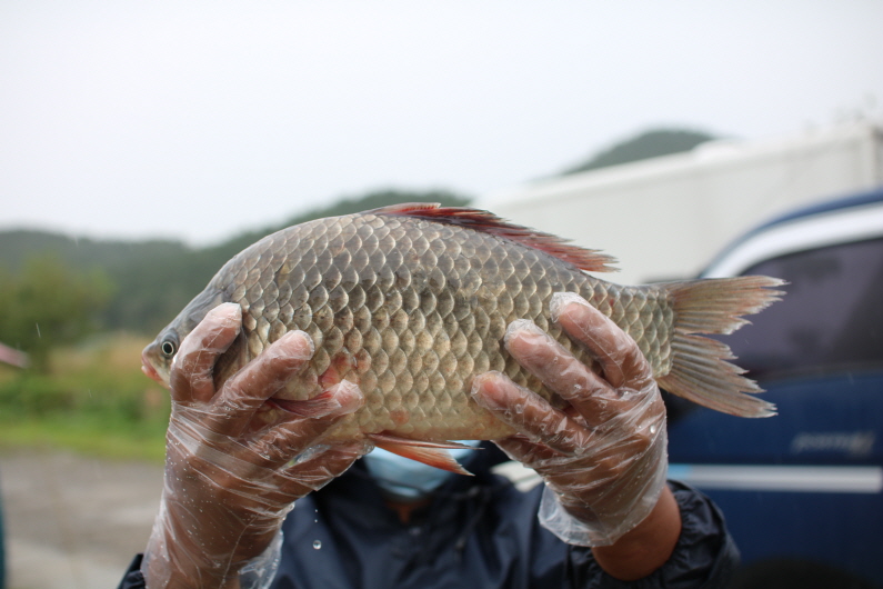 [크기변환]IMG_0771.JPG