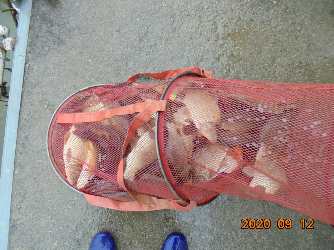 ÀϰýÆíÁý_DSC03991.JPG