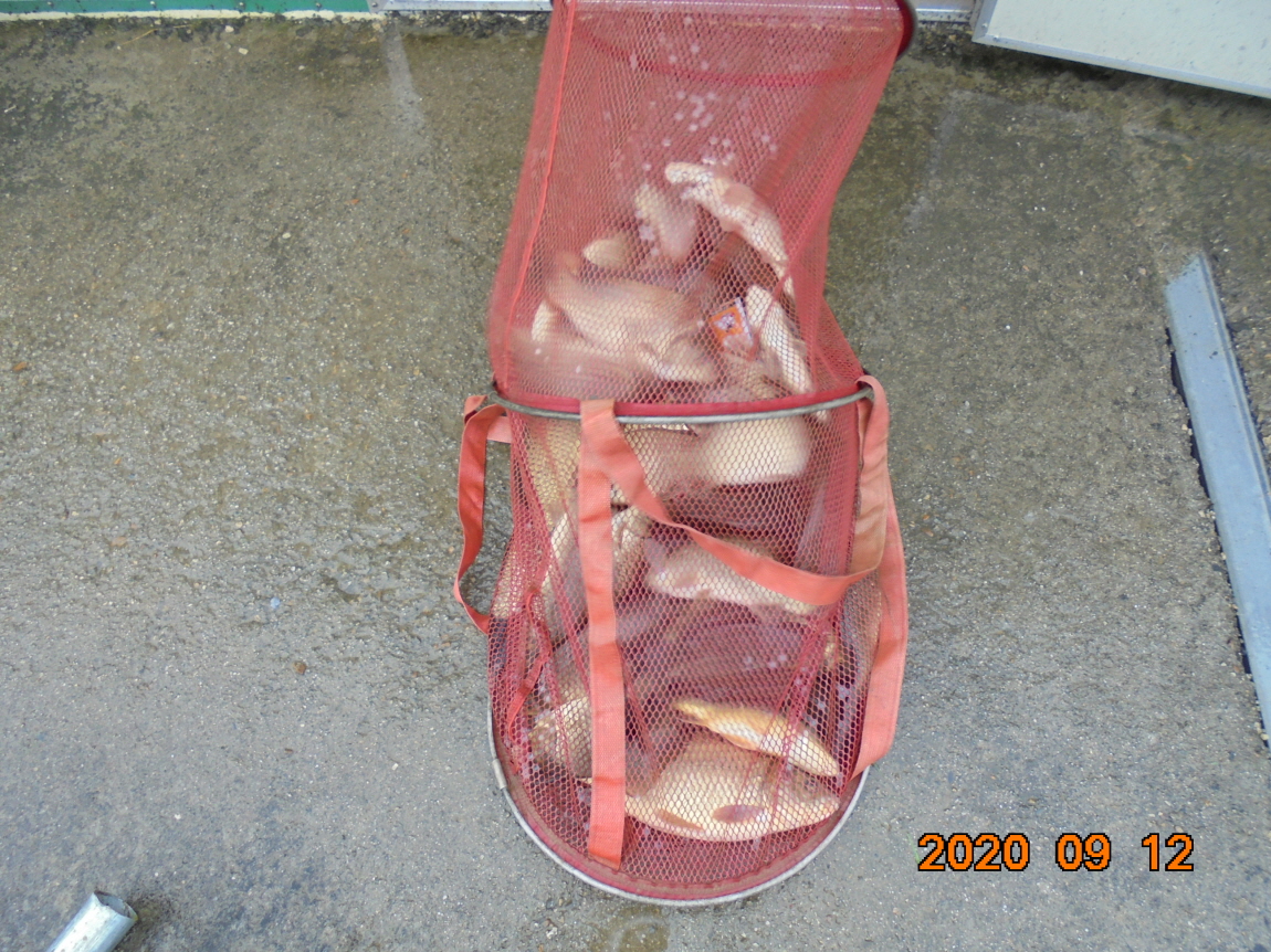 ÀϰýÆíÁý_DSC03992.JPG