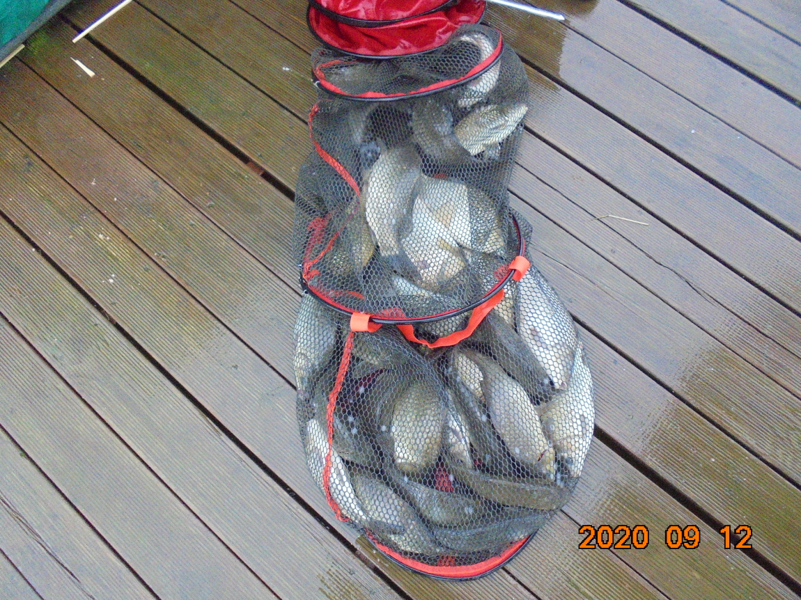 ÀϰýÆíÁý_DSC04007.JPG