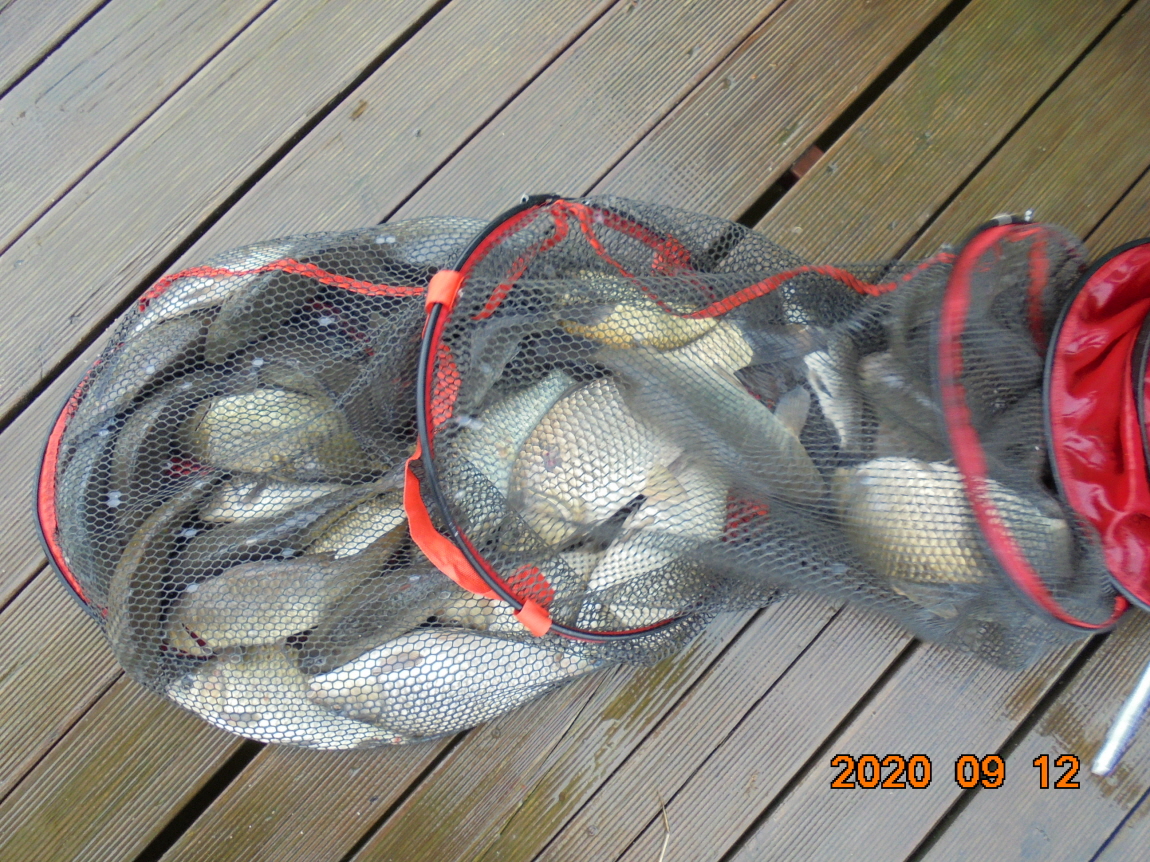 ÀϰýÆíÁý_DSC04006.JPG