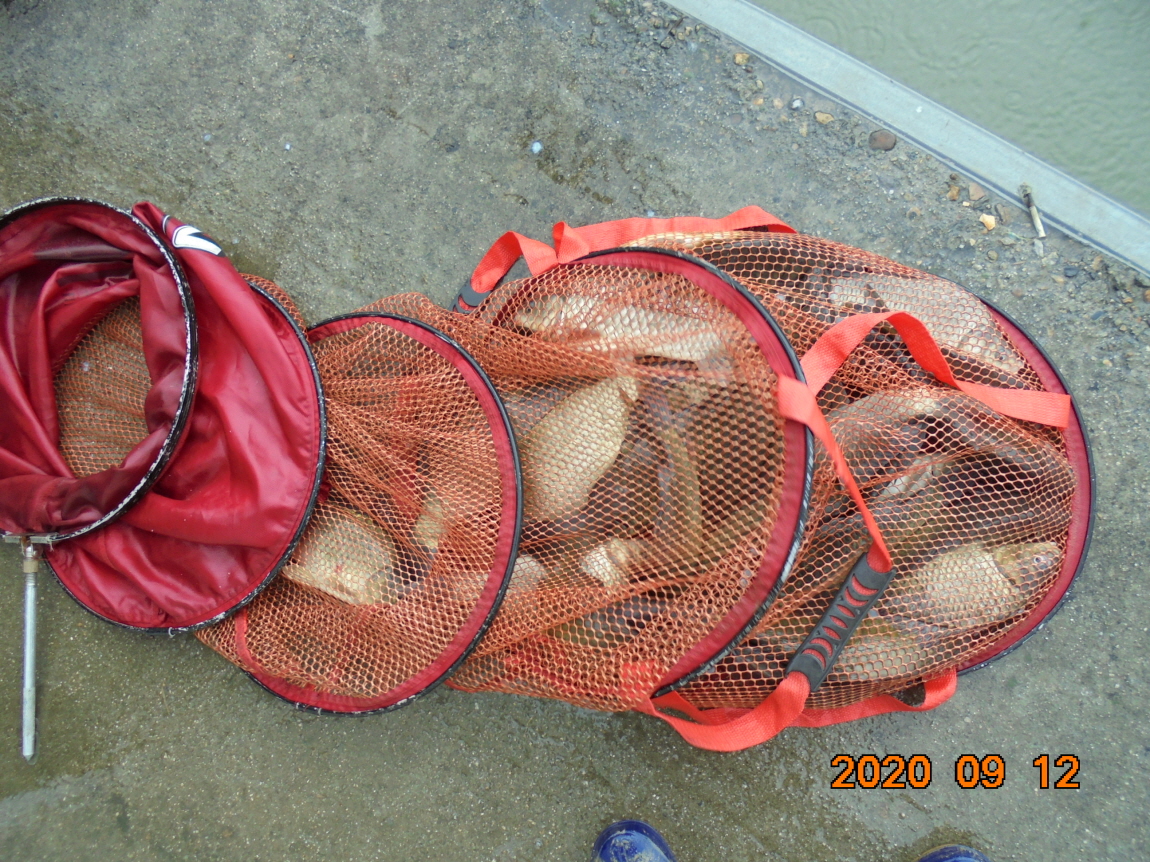 ÀϰýÆíÁý_DSC04009.JPG