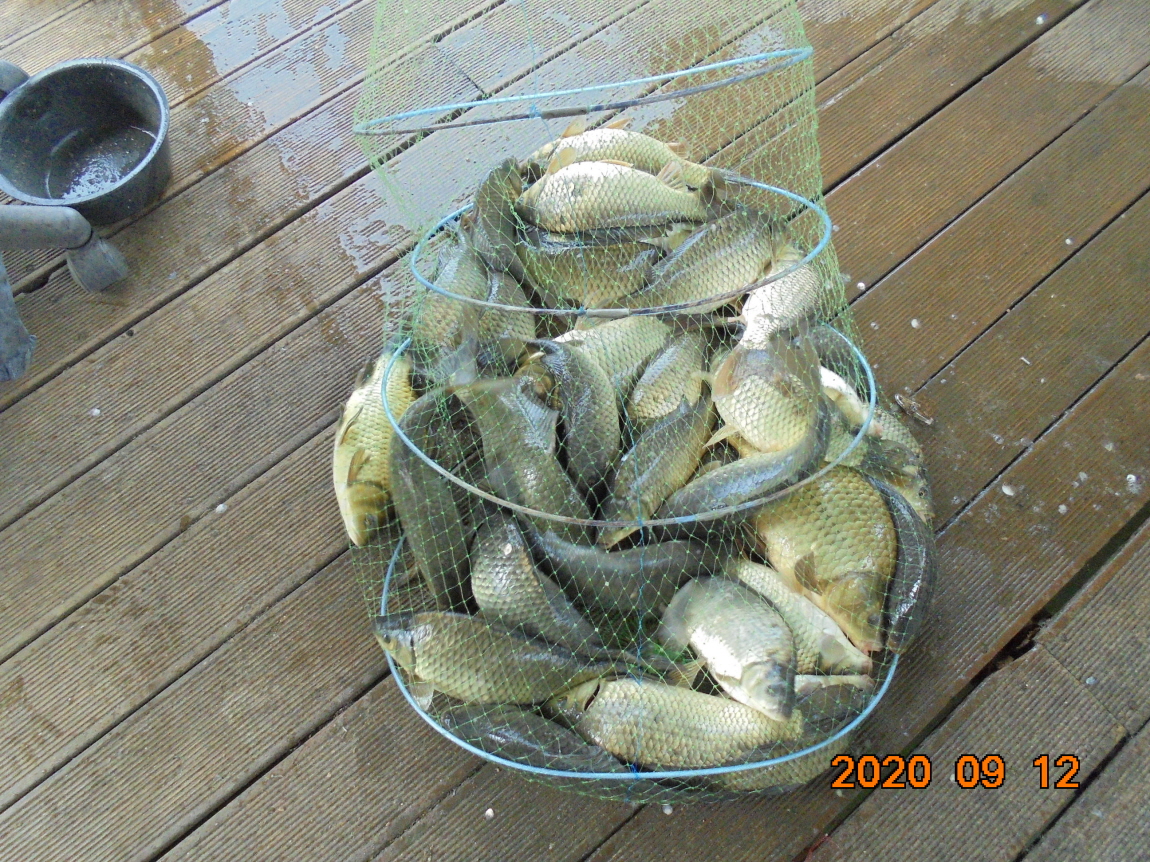 ÀϰýÆíÁý_DSC04025.JPG