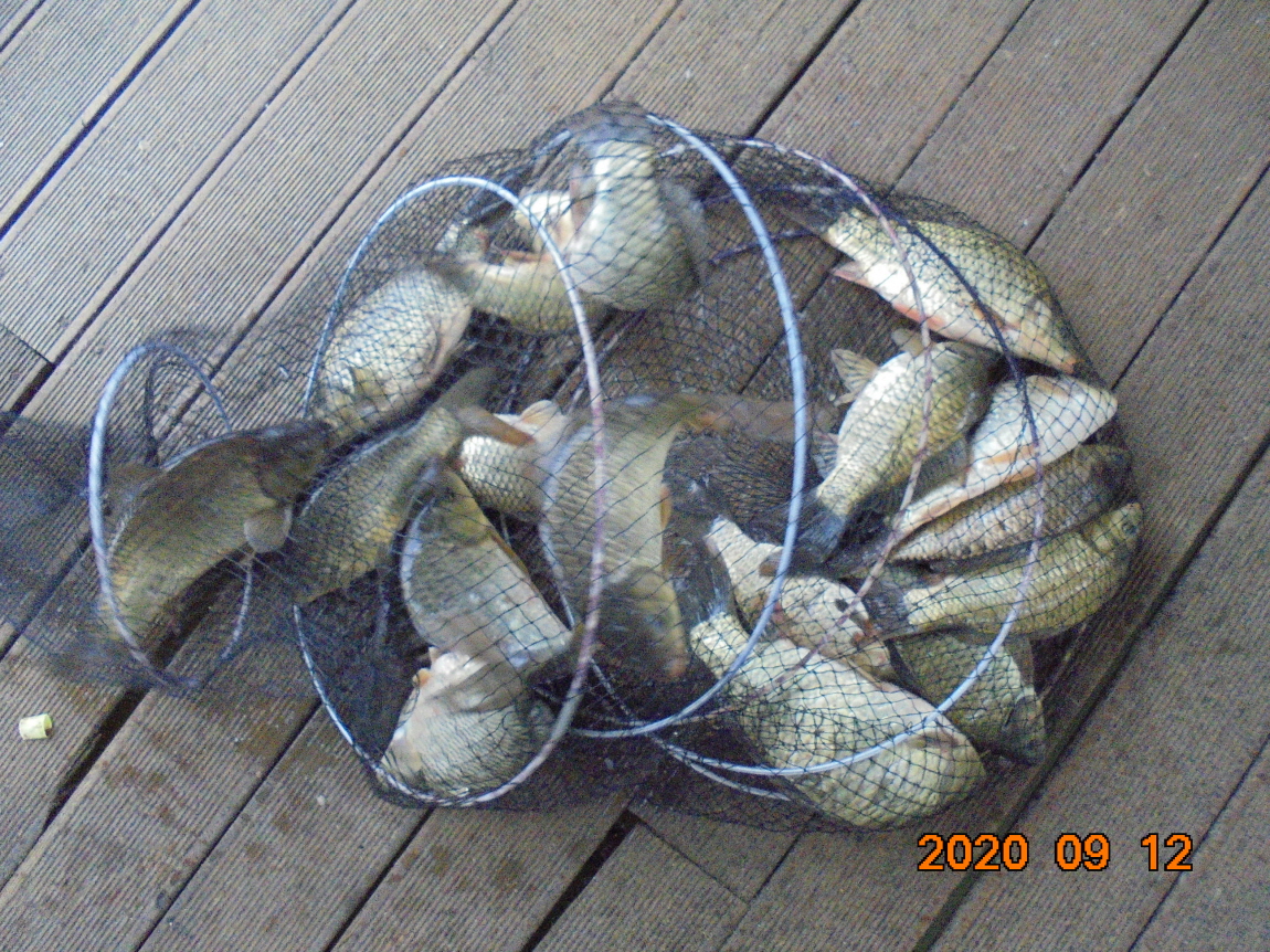 ÀϰýÆíÁý_DSC04021.JPG