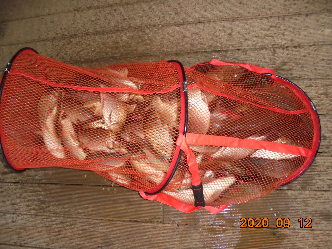 ÀϰýÆíÁý_DSC04042.JPG