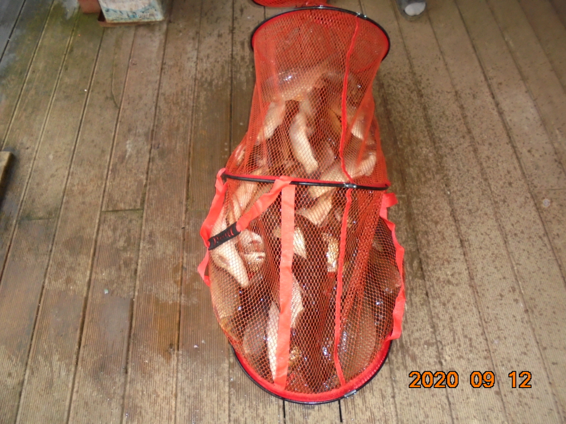 ÀϰýÆíÁý_DSC04043.JPG