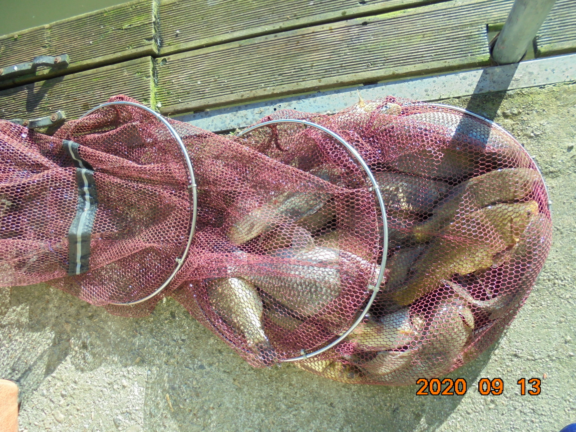 ÀϰýÆíÁý_DSC04051.JPG