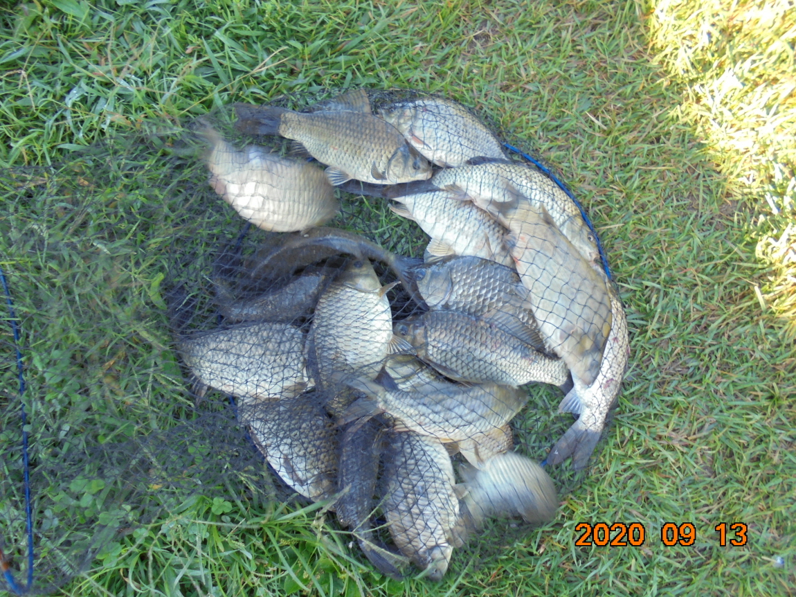 ÀϰýÆíÁý_DSC04054.JPG