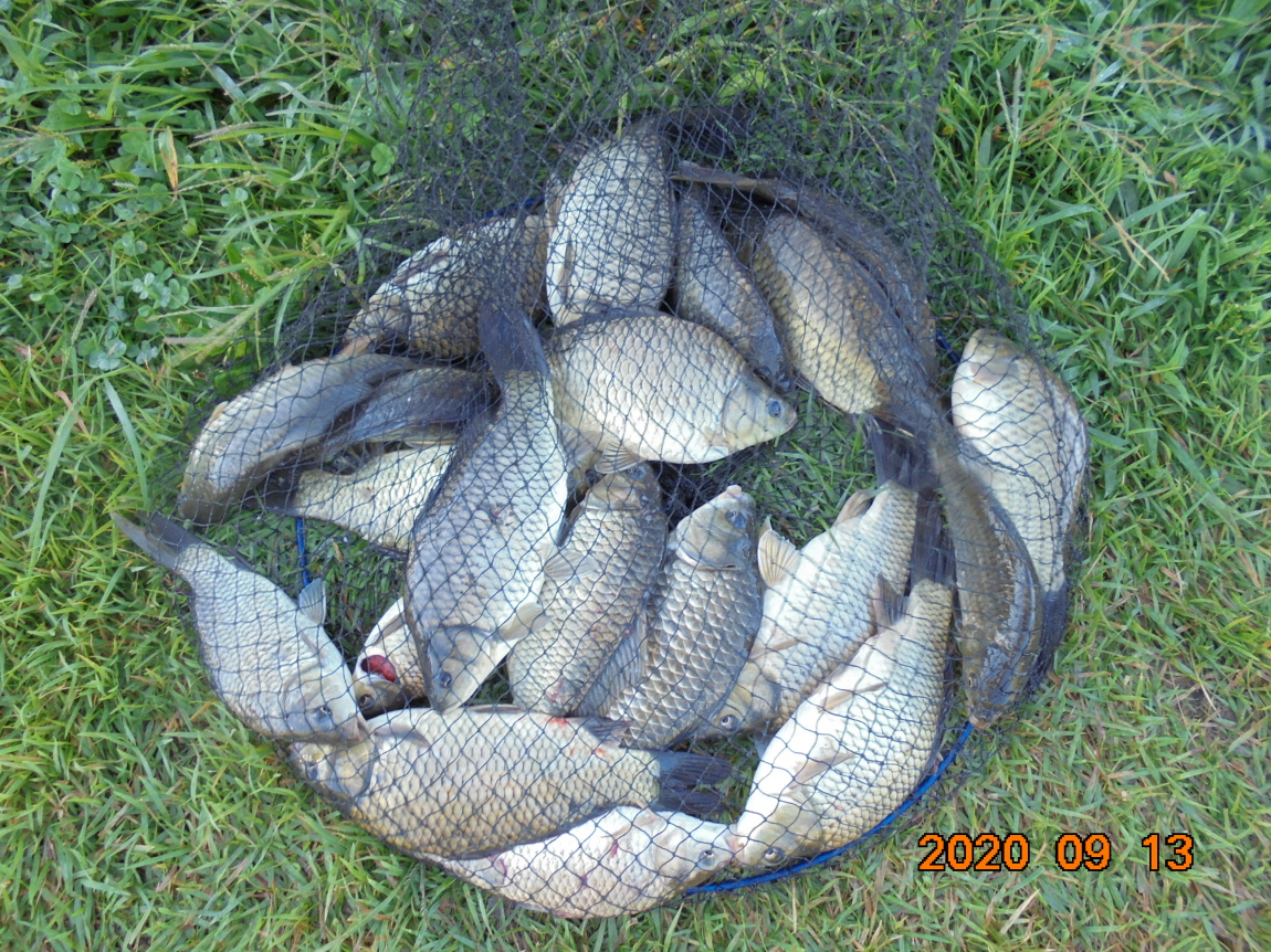 ÀϰýÆíÁý_DSC04055.JPG
