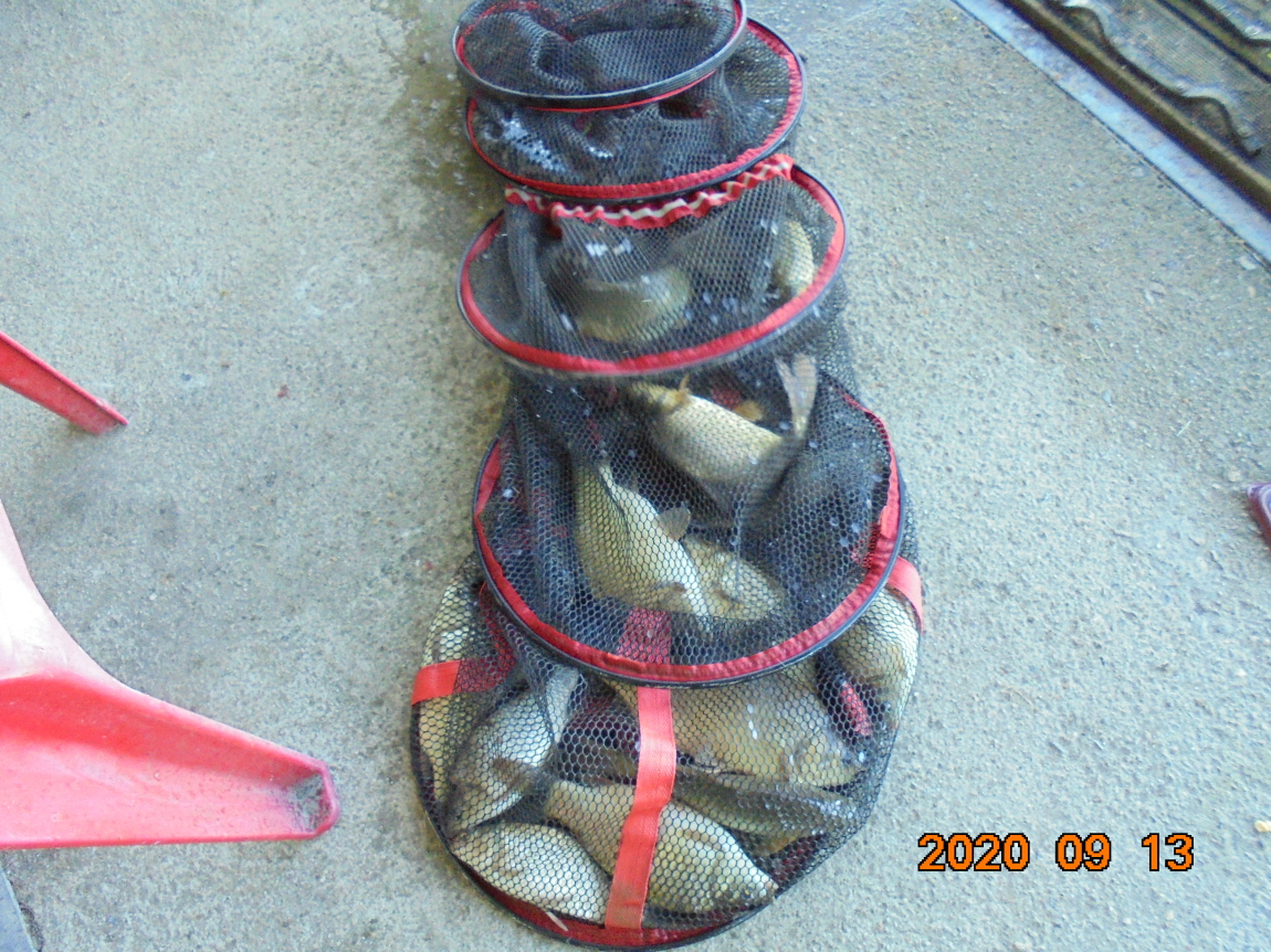 ÀϰýÆíÁý_DSC04058.JPG
