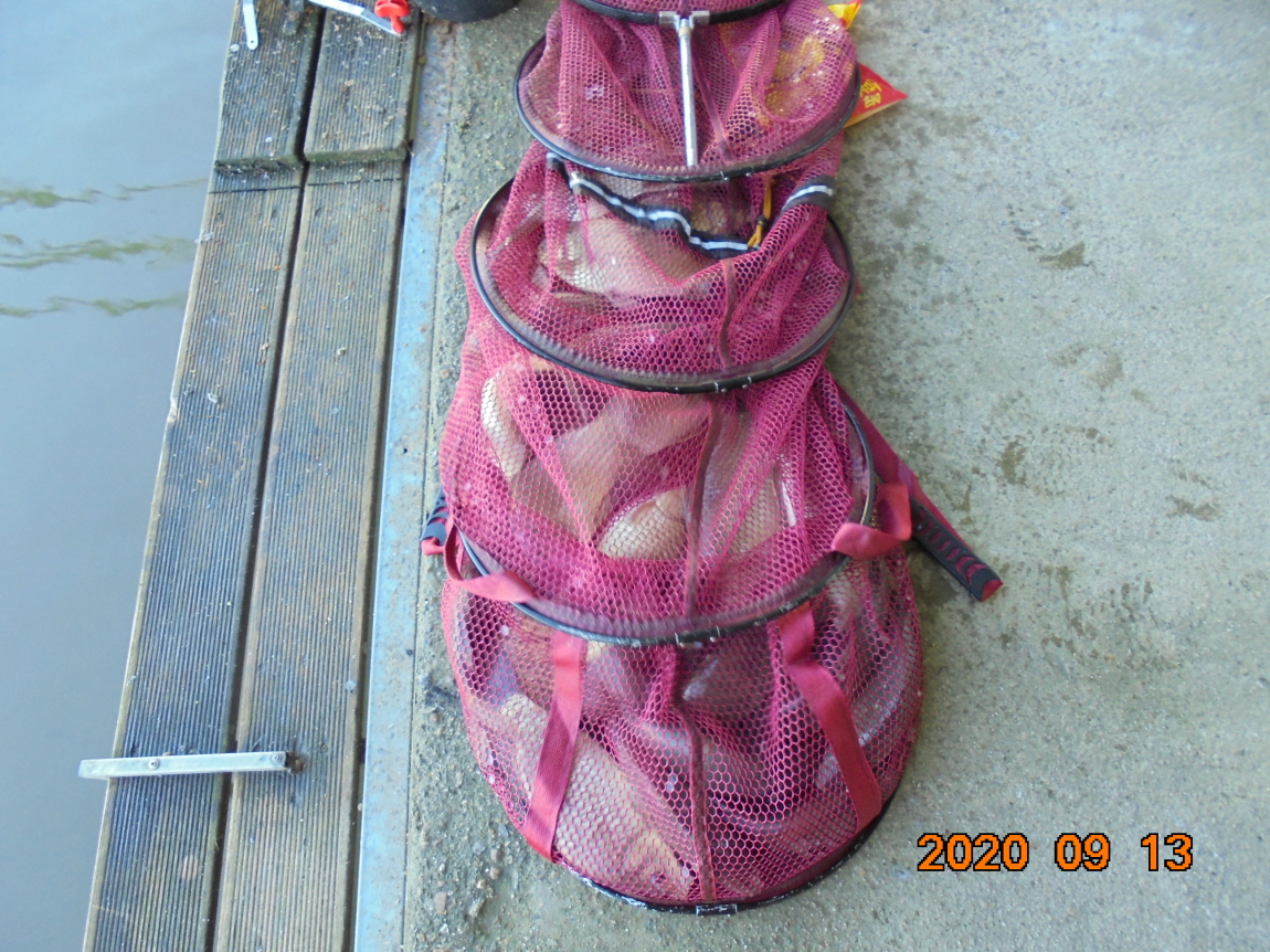 ÀϰýÆíÁý_DSC04064.JPG
