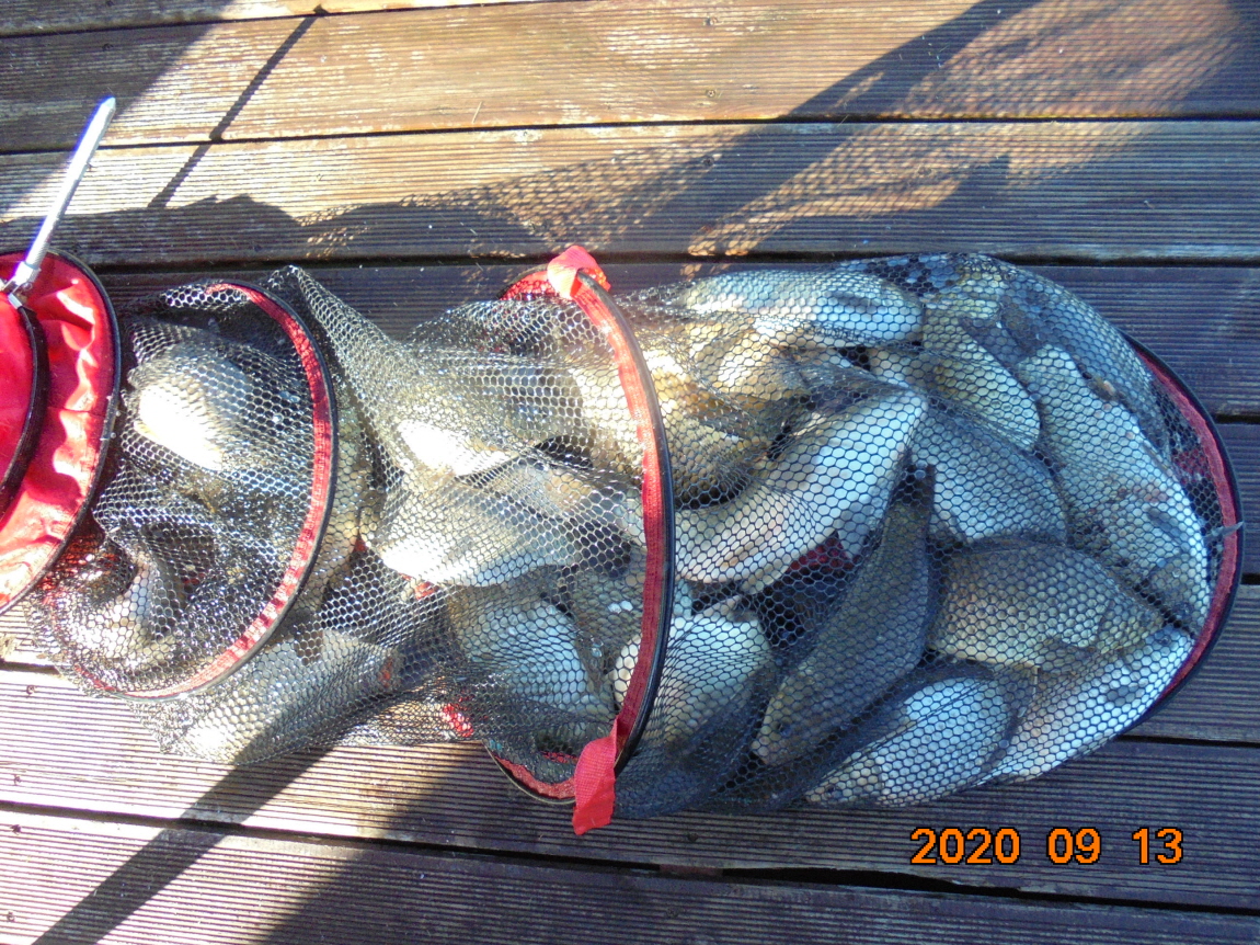 ÀϰýÆíÁý_DSC04079.JPG