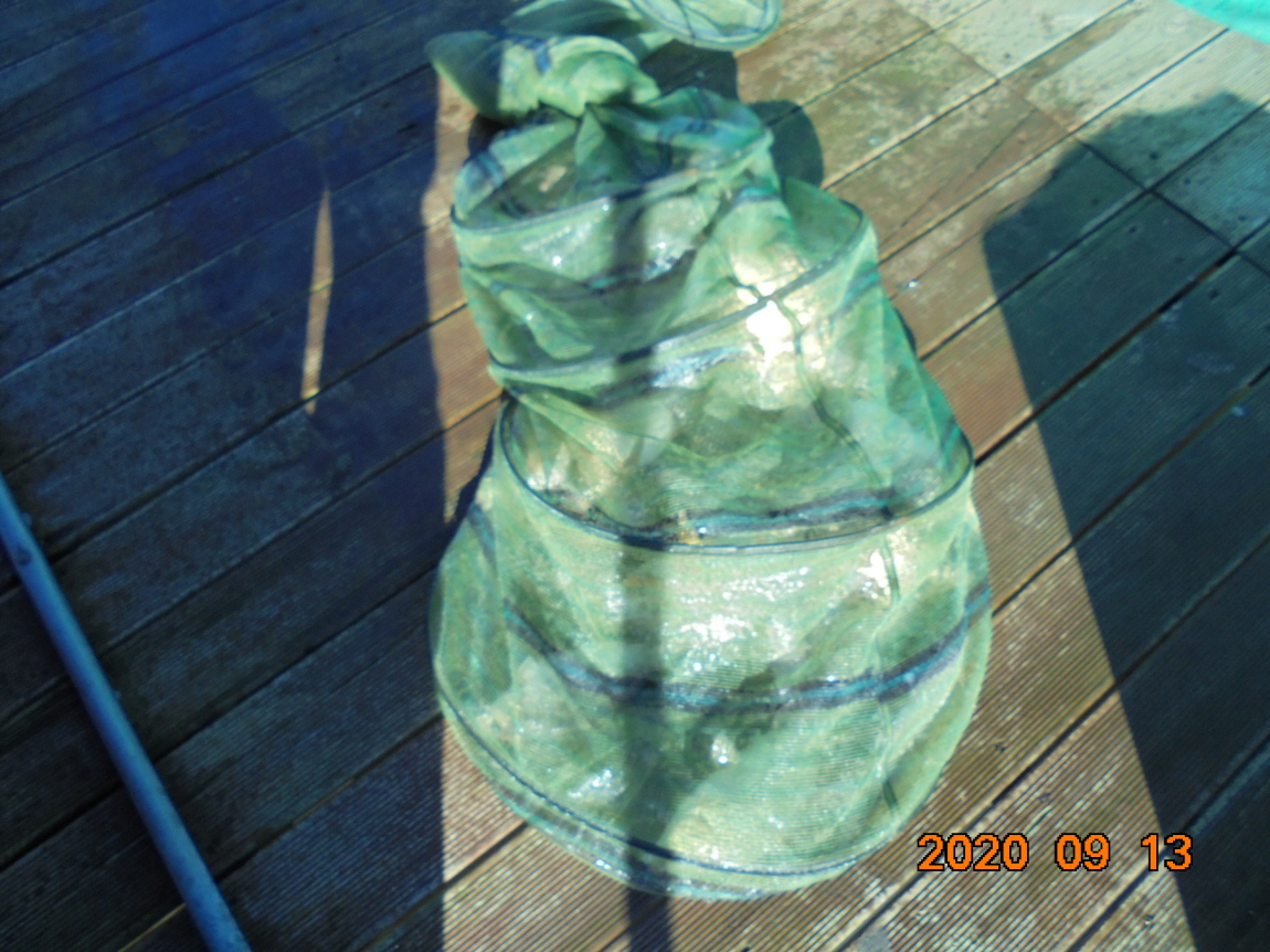 ÀϰýÆíÁý_DSC04086.JPG