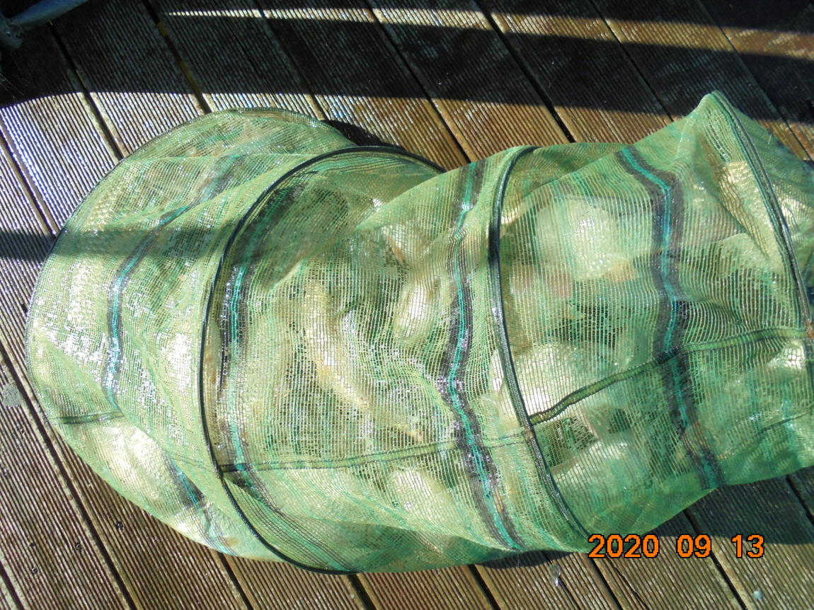 ÀϰýÆíÁý_DSC04085.JPG