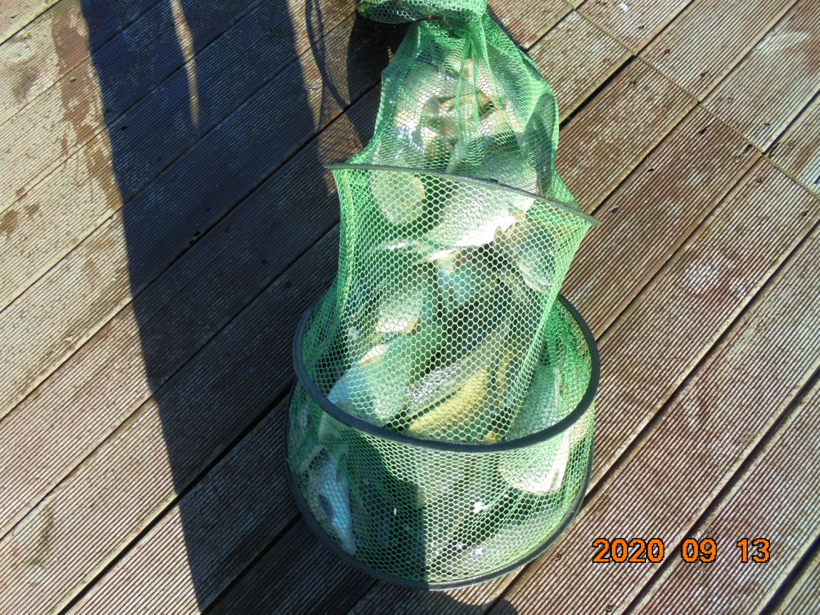 ÀϰýÆíÁý_DSC04092.JPG