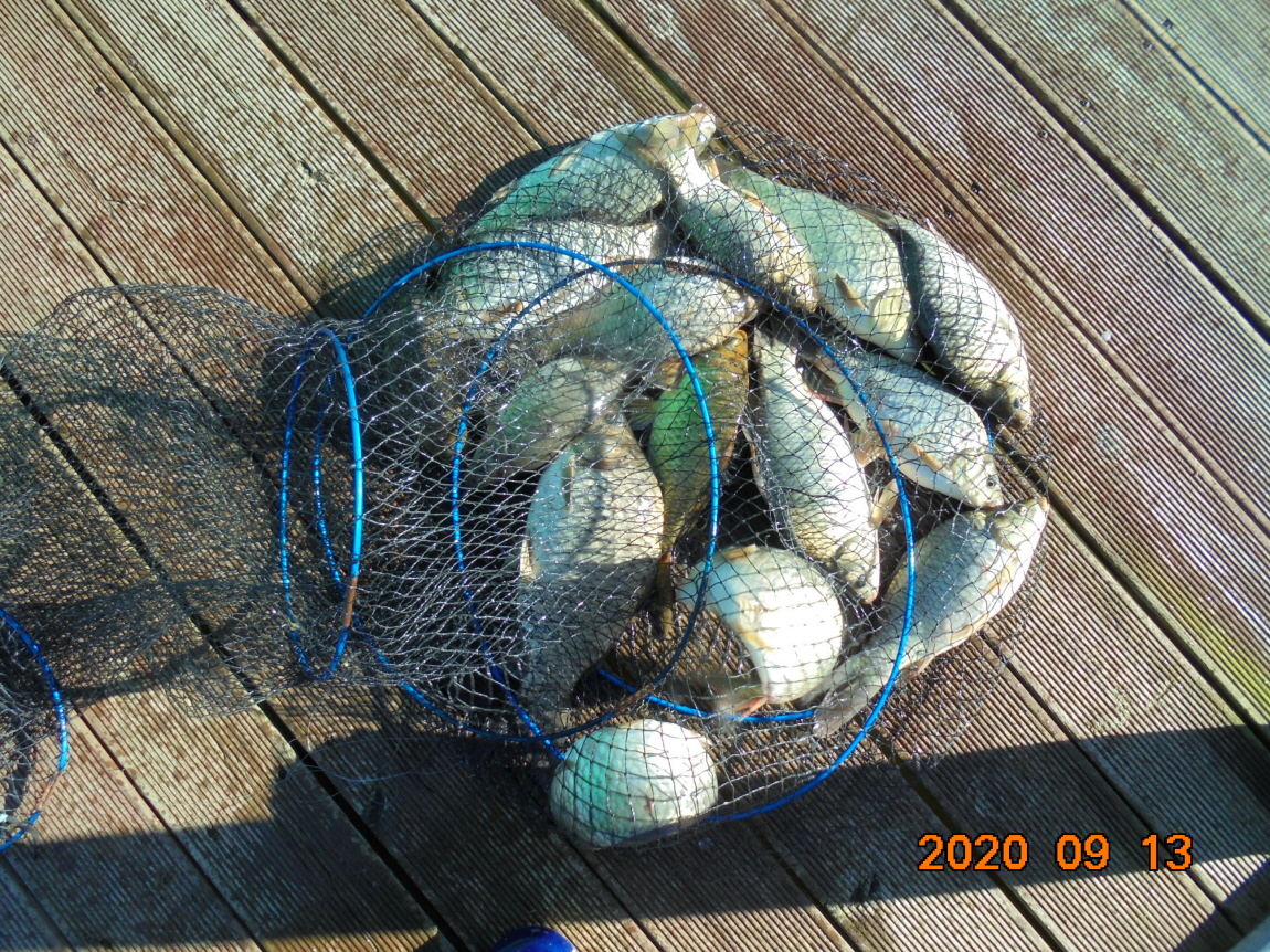 ÀϰýÆíÁý_DSC04088.JPG