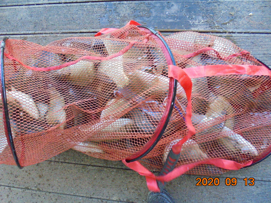 ÀϰýÆíÁý_DSC04103.JPG