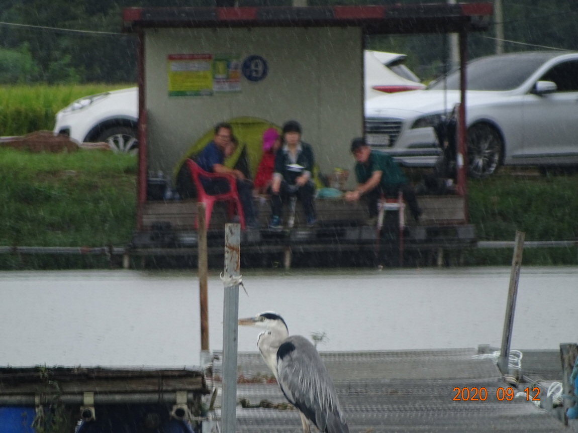 ÀϰýÆíÁý_DSC03094.JPG