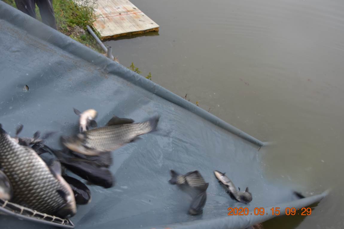 DSC_0042.JPG