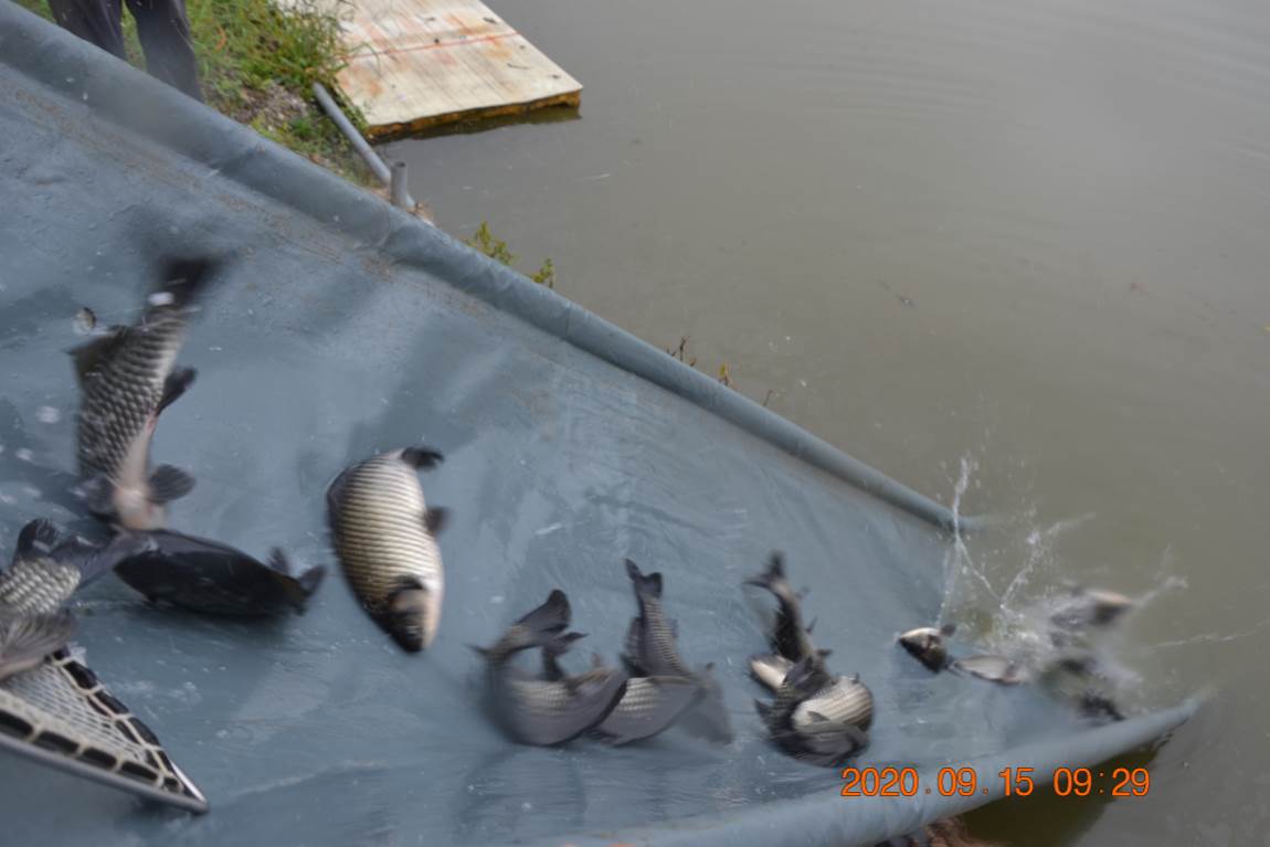 DSC_0043.JPG
