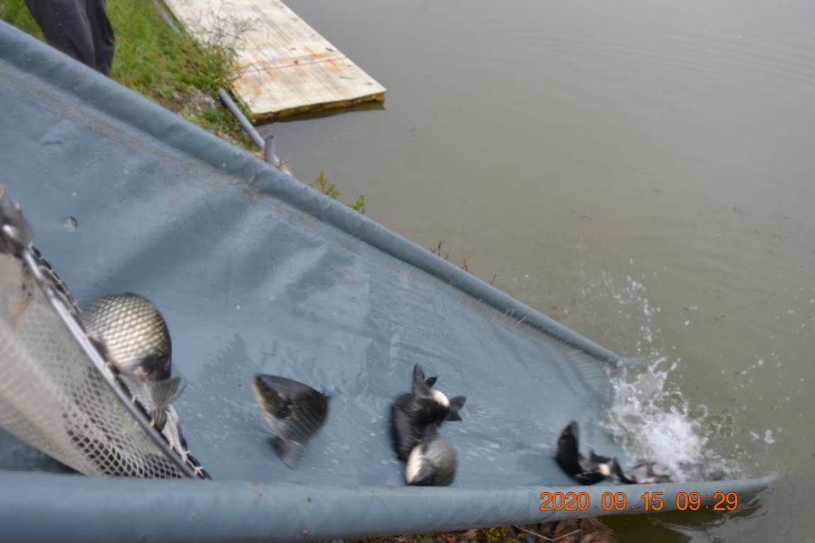 DSC_0045.JPG