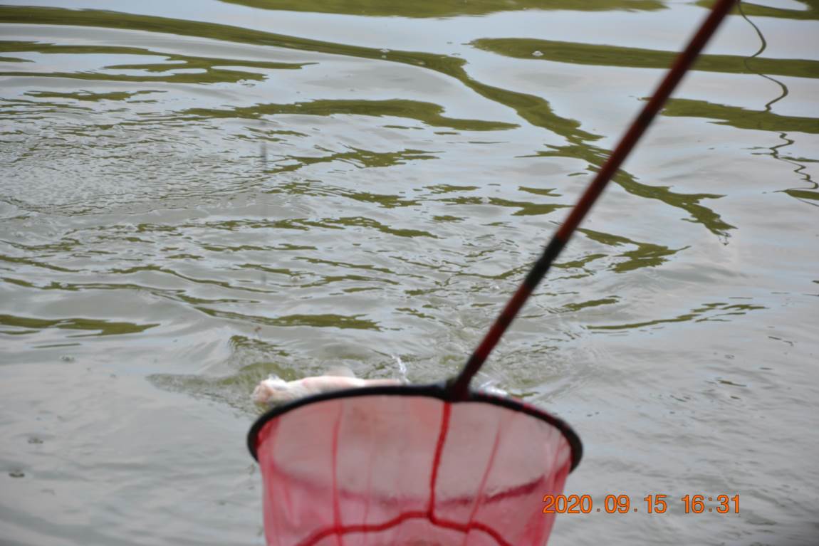 DSC_0009.JPG