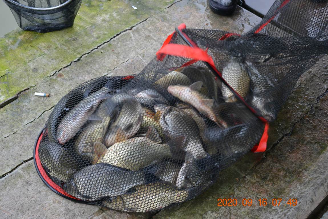 DSC_0025.JPG
