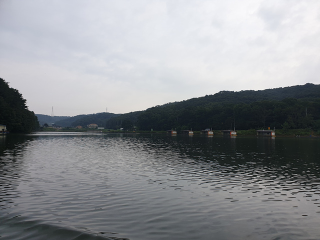 20200916_084728.jpg