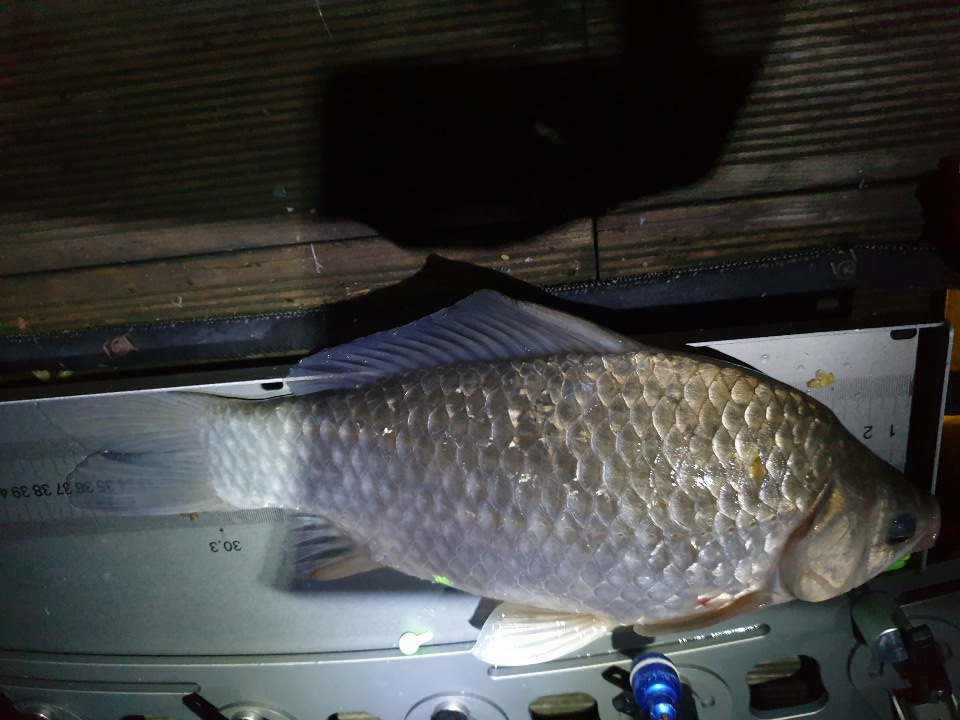KakaoTalk_20200910_074012717.jpg