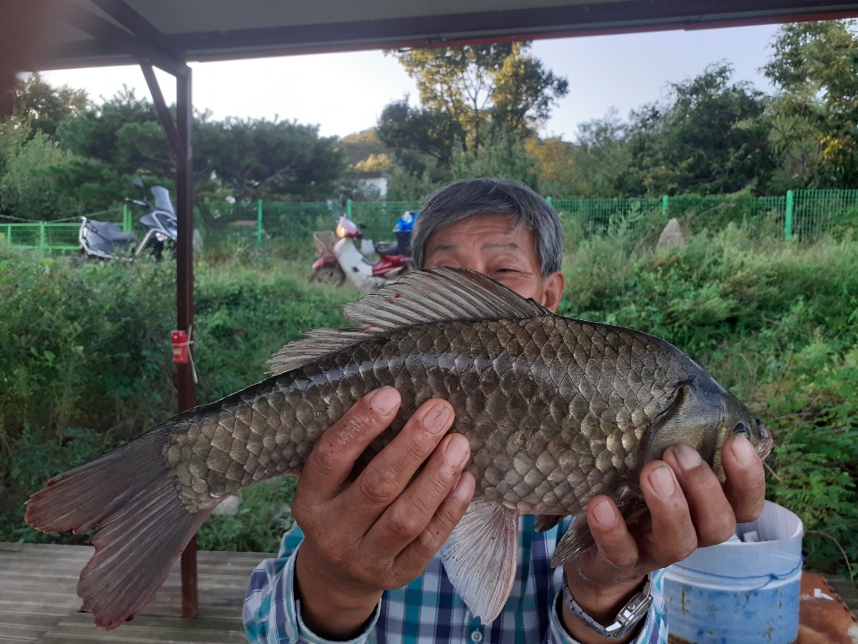 KakaoTalk_20200919_220653521.jpg