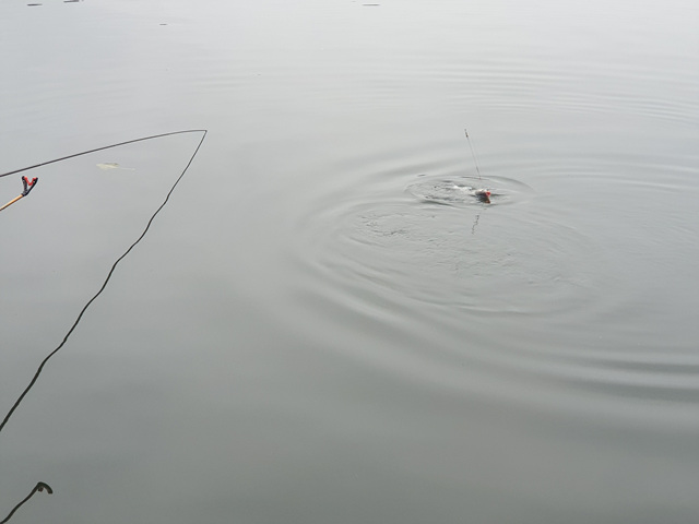 20201003_080959.jpg