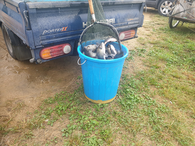 20201003_085109.jpg