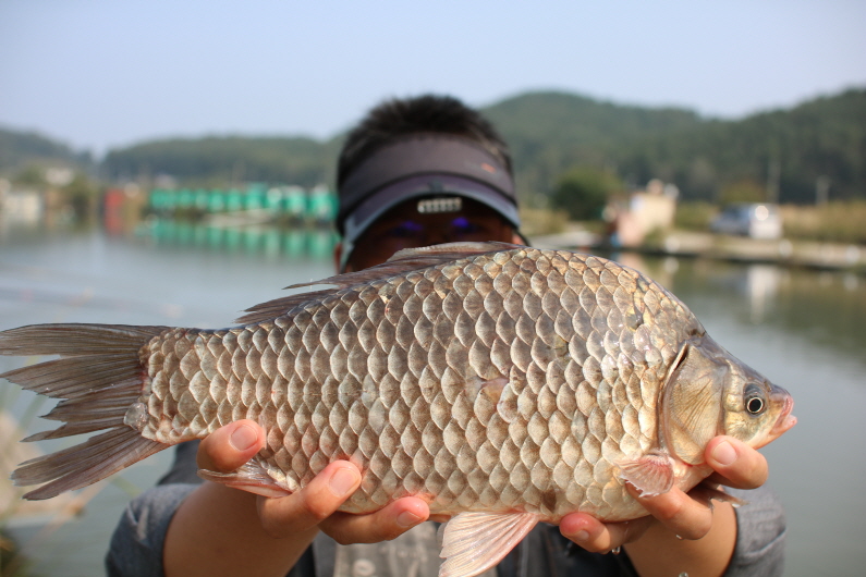 [크기변환]IMG_1907.JPG