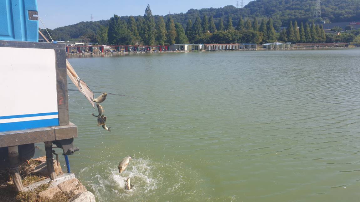 20201009_103727.jpg
