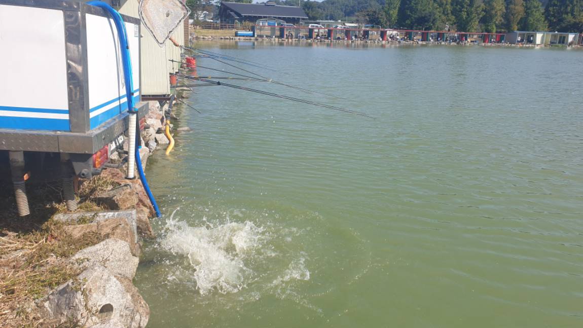 20201009_103800.jpg