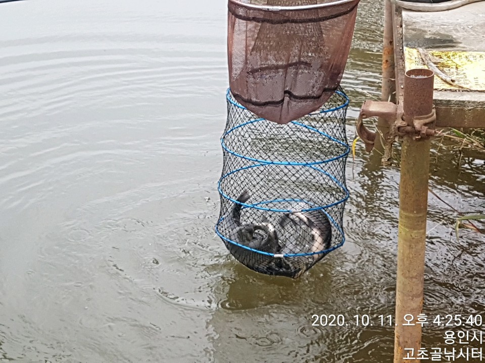 1602460549834-12.jpg